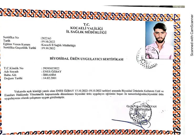 İzmit İlaçlama Firmaları - Böcek kontrol Hizmetleri - Haşere ile Mücadele